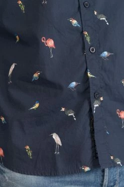 LE TEMPS DES CERISES Chemise Birdy à Motif Oiseaux -Le Temps des Cerises Soldes Magasin 231 hbirdy0000000ml 3223 imaged4